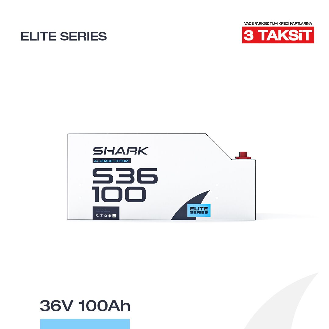 36V 100Ah LiFePO4 Lityum Demir Fosfat Batarya/Akü - Bluetooth/Wifi - Görsel 1